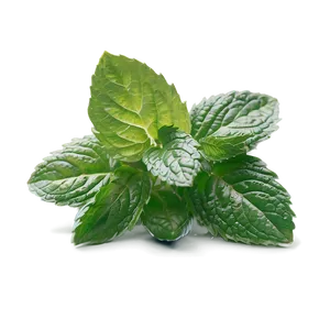 Minty Freshness Concept Png 06122024 PNG Image