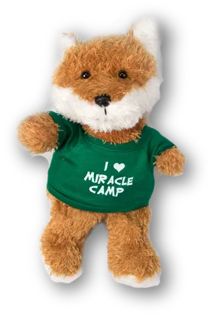 Miracle Camp Love Teddy Bear PNG Image