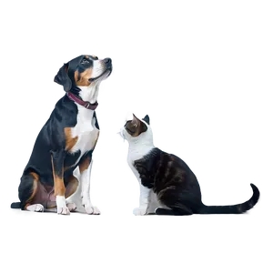 Mischievous Dog And Cat Png Lav PNG Image