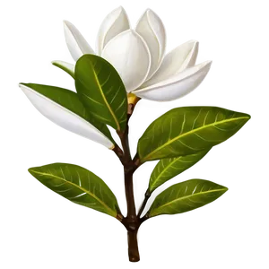 Mississippi State Flower Magnolia Png 97 PNG Image