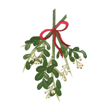 Mistletoe With Red Ribbon PNG Image