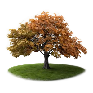 Misty Morning Fall Trees Png Akh16 PNG Image