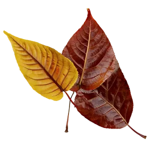 Mixed Fallen Leaves Heap Png 12 PNG Image