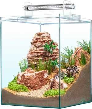 Modern Aquarium Design PNG Image