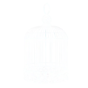 Modern Birdcage Art Png Kil85 PNG Image