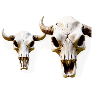 Modern Cow Skull Artwork Png 06132024 PNG Image