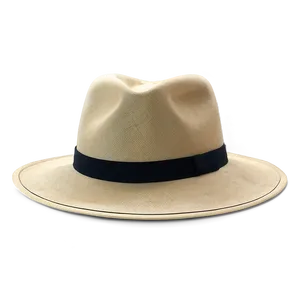 Modern Fedora Hat Png Fco27 PNG Image