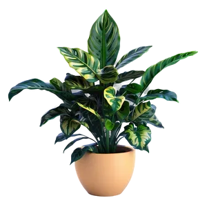 Modern Floor Plant Png Lph29 PNG Image