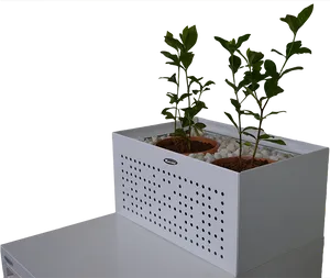 Modern Indoor Planterwith Plants PNG Image