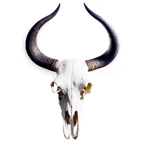 Modern Longhorn Skull Picture Png 06292024 PNG Image