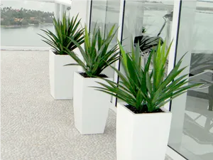 Modern Outdoor Planters Lakeside View PNG Image