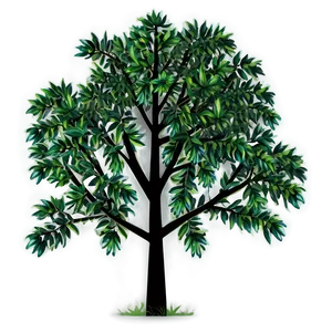 Modern Tree Elevation Png 06262024 PNG Image