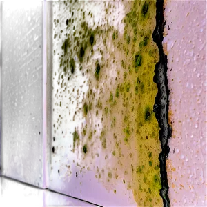 Mold On Wall Png 88 PNG Image