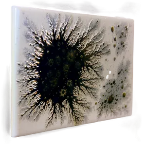 Mold Stain Png Ksm PNG Image