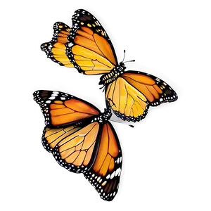 Monarch Butterflies Cluster Png 06252024 PNG Image