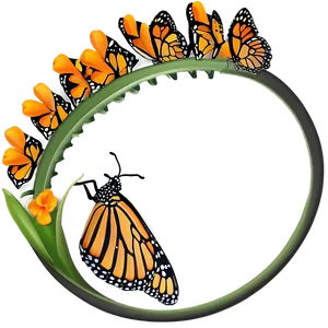 Monarch Butterfly Life Cycle Png Fab25 PNG Image