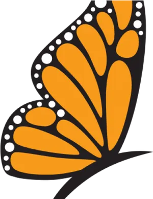 Monarch Butterfly Wing Graphic PNG Image