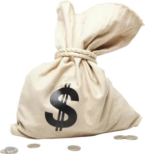 Money Bagwith Dollar Sign PNG Image