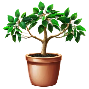 Money Tree In Pot Png Jtq30 PNG Image