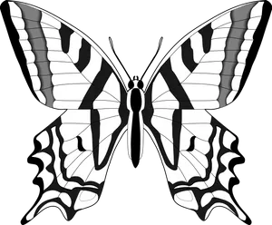 Monochrome Butterfly Illustration PNG Image