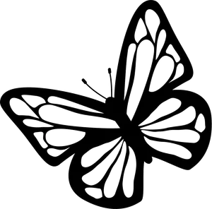 Monochrome Butterfly Silhouette PNG Image