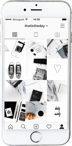 Monochrome_ Instagram_ Feed_ Preview PNG Image