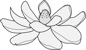 Monochrome Lotus Vector Illustration PNG Image