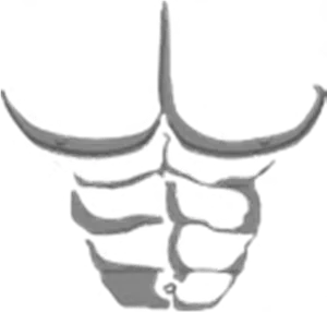 Monochrome Skull Graphic PNG Image