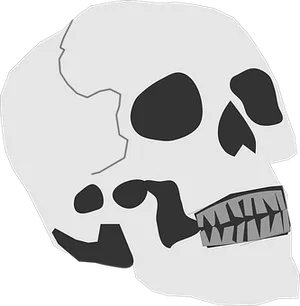 Monochrome Skull Illustration PNG Image