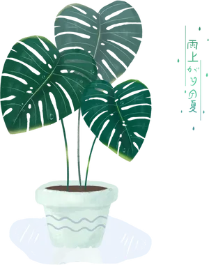 Monstera Deliciosa Illustration PNG Image