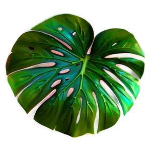 Monstera Leaf Design Png 77 PNG Image