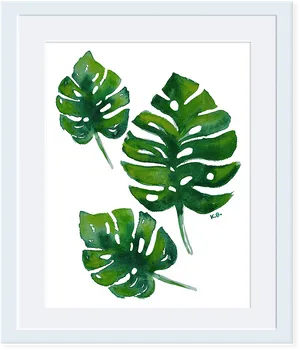 Monstera Leaves Watercolor Art PNG Image