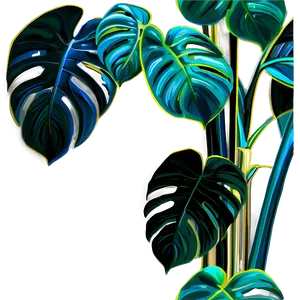 Monstera Plant A PNG Image