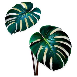 Monstera Plant B PNG Image