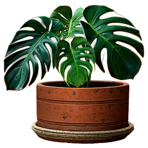 Monstera Plant Pot Png 63 PNG Image