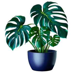 Monstera Plant Pot Png Vtb PNG Image