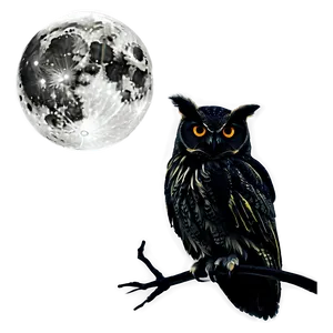 Moon And Owl Silhouette Png Ciy32 PNG Image