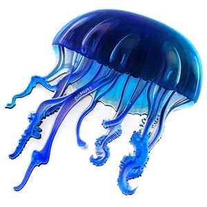 Moon Jelly A PNG Image