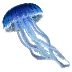 Moon Jelly In Night Sea Png 81 PNG Image