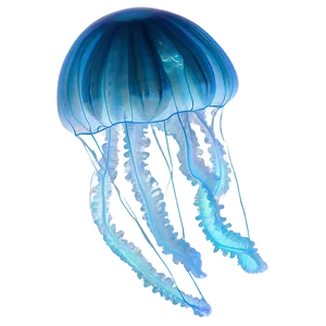 Moon Jelly In Night Sea Png Ndc63 PNG Image