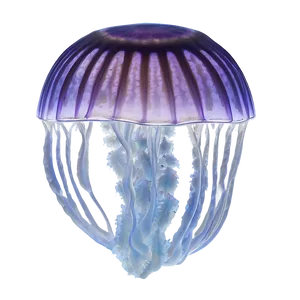 Moon Jelly Natural Habitat Png 06292024 PNG Image