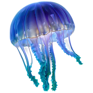 Moon Jelly Transparent Background Png Yev PNG Image