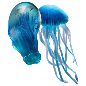 Moon Jelly Underwater Beauty Png Dmu PNG Image