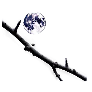 Moonlit Twig Png Ury PNG Image