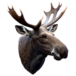 Moose Head Profile View Png Dsr4 PNG Image