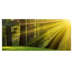 Morning Sunrays Clipart Png 28 PNG Image