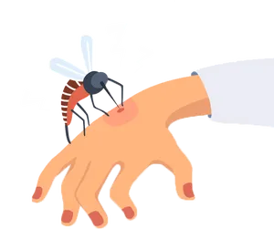 Mosquito Biting Hand Illustration PNG Image