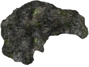 Mossy Rock Texture PNG Image