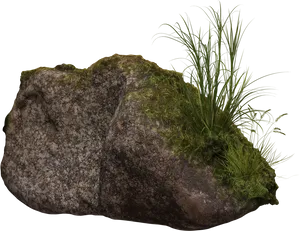 Mossy Rockwith Grass Clump PNG Image