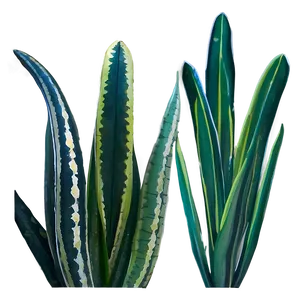 Mother-in-law's Tongue Plant Png Yru PNG Image